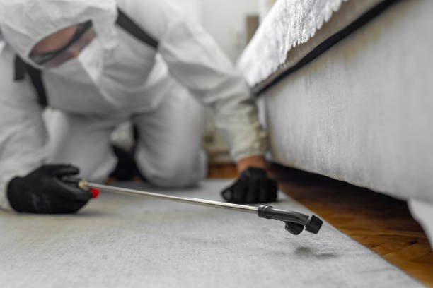 Professional Pest Control technician working in Olathe, CO